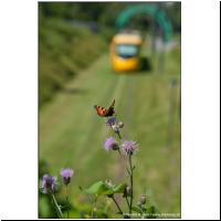 Mulhouse Coteaux 2012-07-07 .jpg